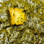 Best Palak Paneer in Draper, UT